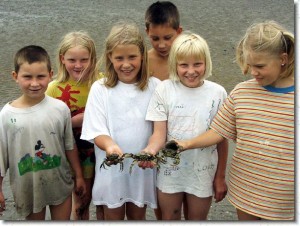 Strandfest Volkswattwandern krebse.jpg