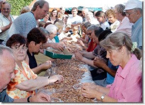 Wremen Krabbentag Pulwettbewerb 01.jpg